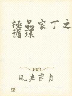 极品家丁之因果循环