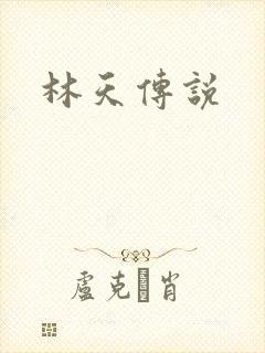 林天传说