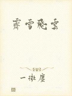 霁雪飞云