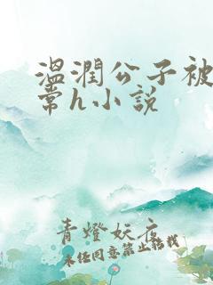 温润公子被脔日常h小说