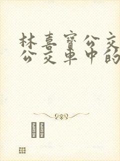 林喜宝公交车(公交车中的林喜宝)