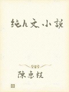 纯h文小说