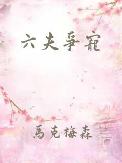 六夫争宠