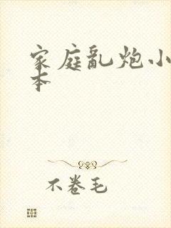 家庭乱炮小说全本