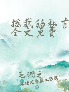 总裁的私有宝贝全文免费