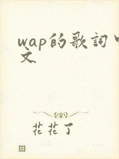 wap的歌词中文
