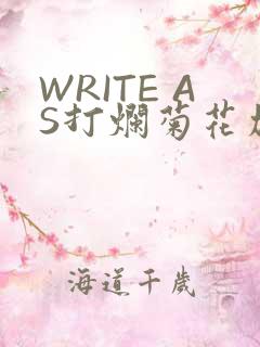 WRITE AS打烂菊花加姜
