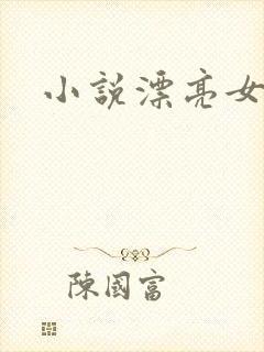 小说漂亮女局长