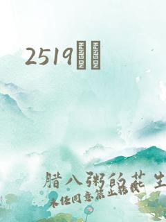 2519С˵