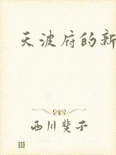 天波府的新姑爷