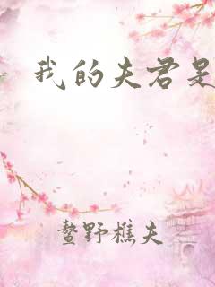 我的夫君是冥王