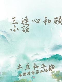 玉连心和顾承泽小说