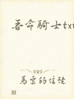 吾命骑士txt