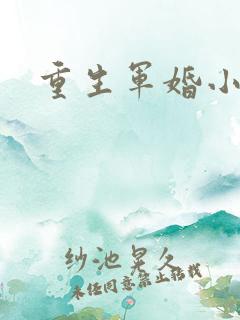 重生军婚小媳妇