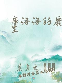 库洛洛的废柴人生