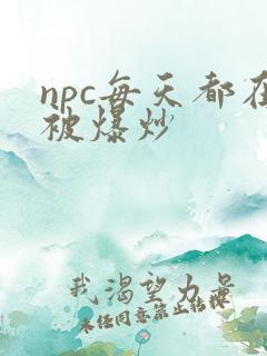 npc每天都在被爆炒