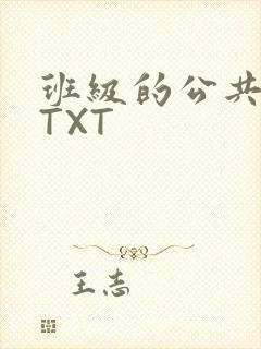 班级的公共玩具TXT