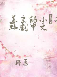 善良的小峓子2韩剧中文