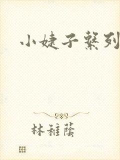小婕子系列小说
