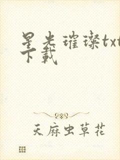 星光璀璨txt下载