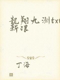 龙翔九洲txt新浪