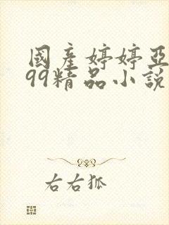 国产婷婷亚洲999精品小说