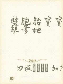 双胞胎宝宝的总统爹地