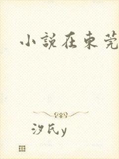 小说在东莞