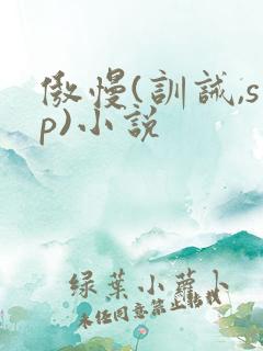 傲慢(训诫,sp)小说