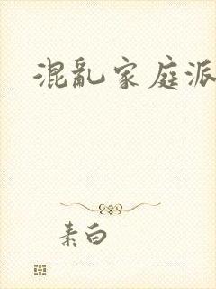 混乱家庭派对