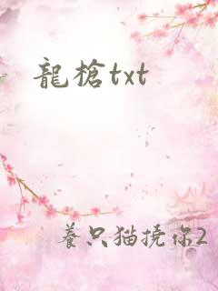龙枪txt