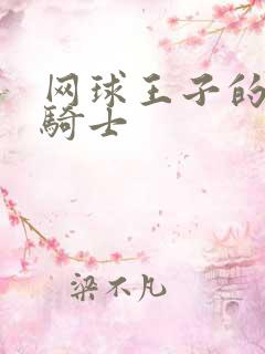 网球王子的公主骑士