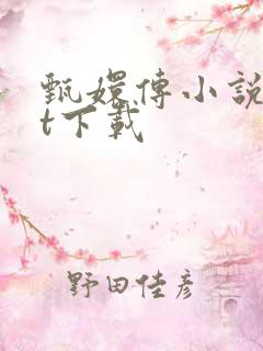 甄嬛传小说txt下载