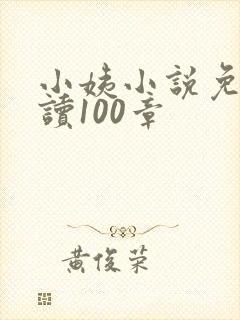 小姨小说免费阅读100章