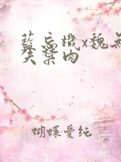 蓝忘机x魏无羡失禁肉