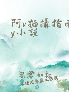 阿v拍摄指南by小说