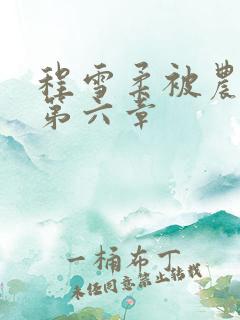 程雪柔被农民工第六章