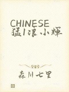 CHINESE猛1浪小辉