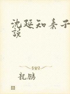 沈延知秦子卿小说