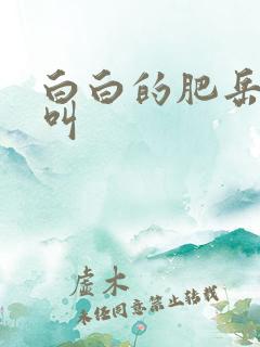 白白的肥岳嗷嗷叫