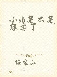 小sb是不是又想要了