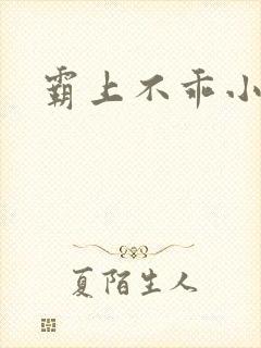 霸上不乖小逃妻