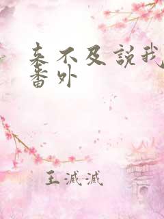 来不及说我爱你番外