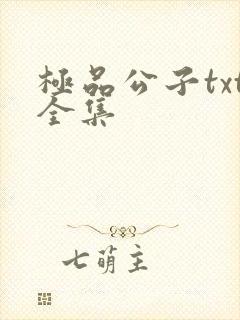 极品公子txt全集