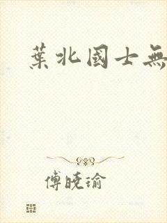 叶北国士无双