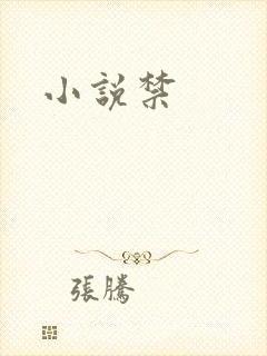 小说禁