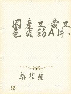 国产又黄又大又色爽的A片小说