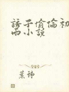 诱子偷伦初尝云雨小说