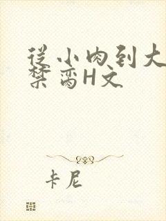 从小肉到大师傅禁脔H文