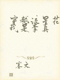 穿越流星花园之我是李真